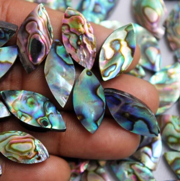 Abalone Shell Marquise Cabochon, Abalone Shell Calibrated MM sized Gemstone